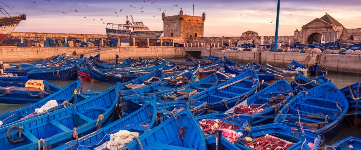 Excursión de un día desde Marrakech a Essaouira